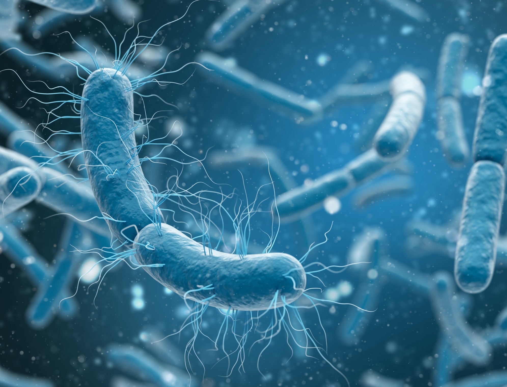 Prebiotikai ir probiotikai kosmetikoje